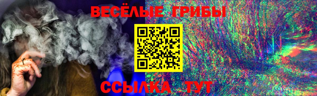 Дюртюли  Псилоцибиновые грибы мухоморы  Вход с VPN 